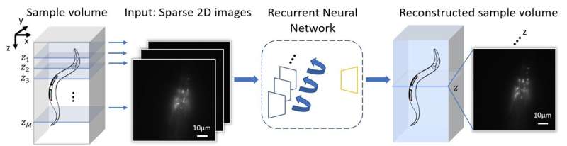 3D fluorescence microscopy gets a boost using recurrent neural networks