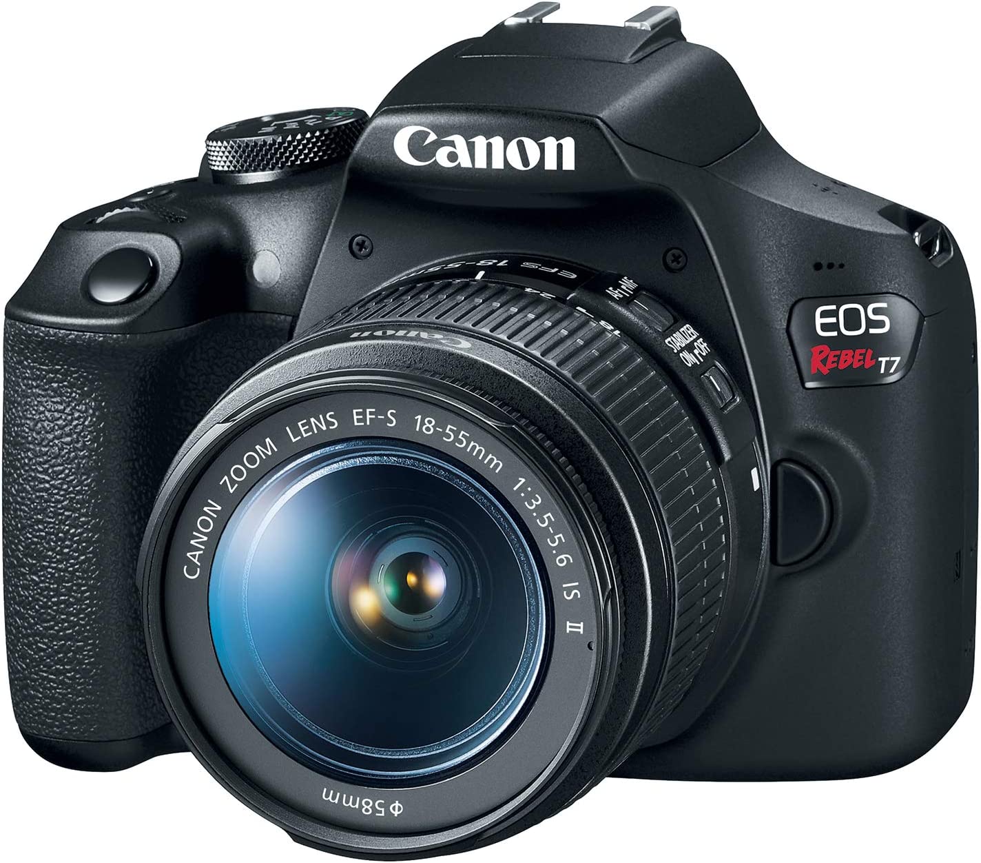 The Top 10 Best DSLR Cameras for Less Than $300