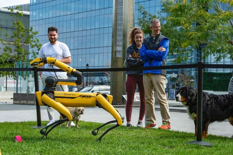 Boston Dynamics robot dogs in Boston in 2021