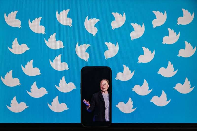 Elon Musk and Twitter have been serving a relentless stream of subpoenas as they seek evidence to back their sides in an October