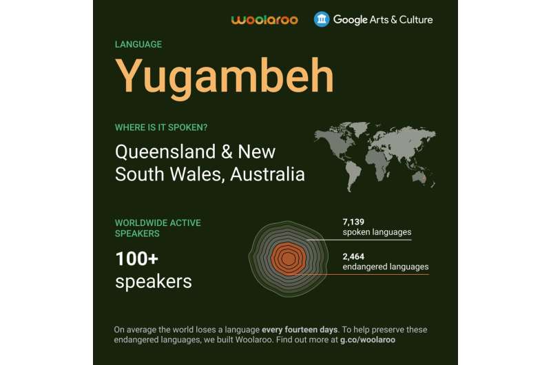 Google introduces Woolaroo, a tool for learning indigenous languages