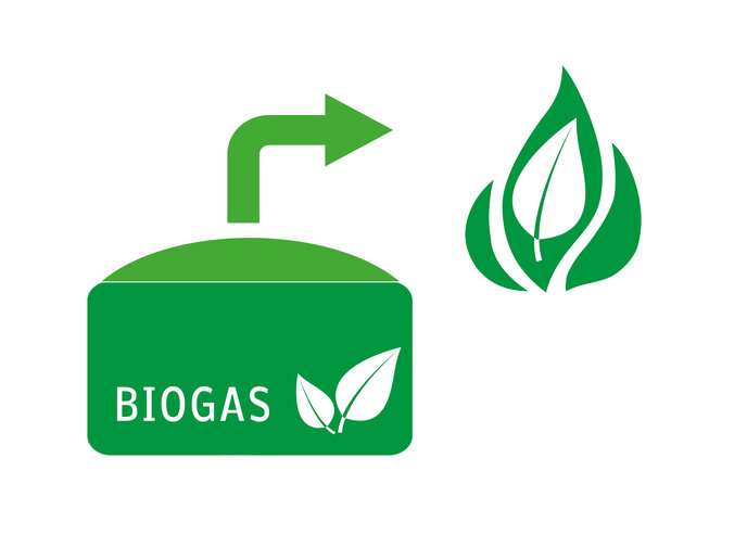 Matching business needs and solutions in the biogas and gasification sectors