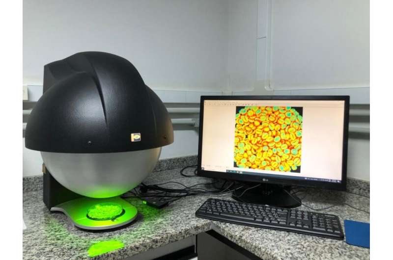 Specialty and standard coffee beans can be sorted using multispectral imaging and artificial intelligence