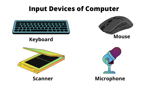 Input device of computer